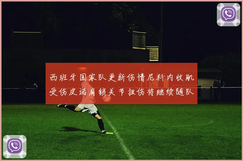 西班牙国家队更新伤情尼科内收肌受伤皮诺肩锁关节扭伤将继续随队训练